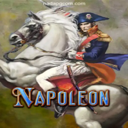 Discover Napoleon: A Historical Card Game Experience